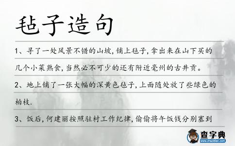 氈子造句