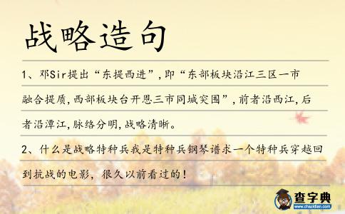 戰(zhàn)略造句