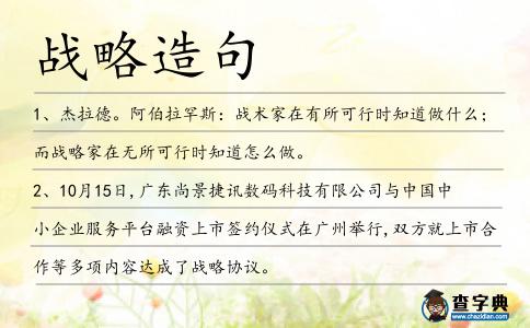 戰(zhàn)略造句