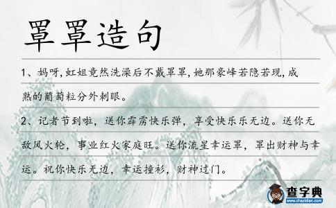 罩罩造句