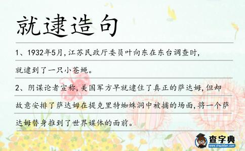 就逮造句