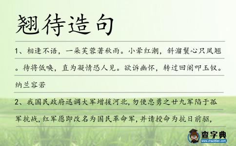 翹待造句
