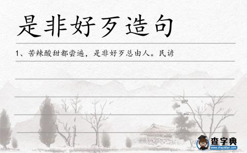 是非好歹造句