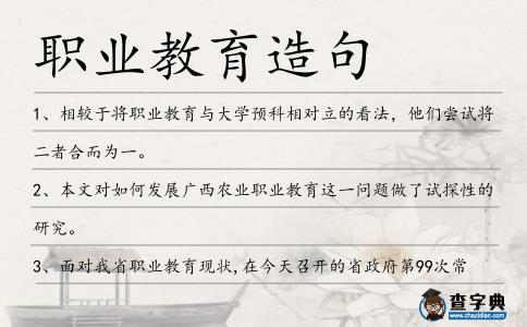 職業教育造句