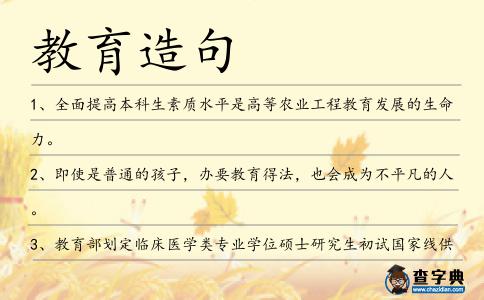 教育造句