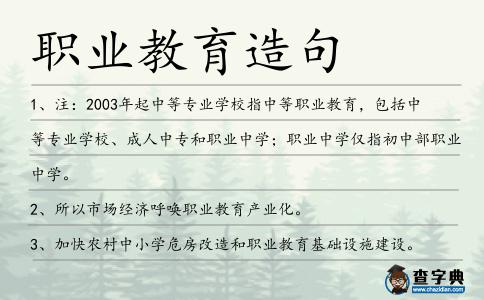 職業教育造句