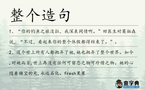 整個(gè)造句