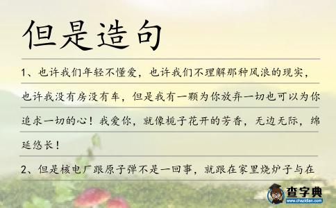但是造句