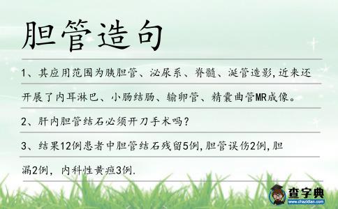 膽管造句
