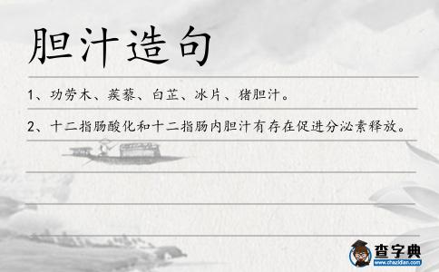 膽汁造句