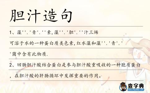 膽汁造句