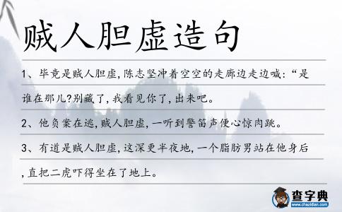 賊人膽虛造句