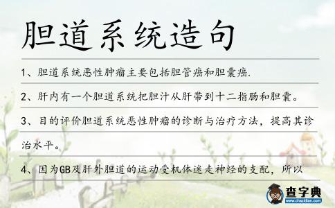 膽道系統造句