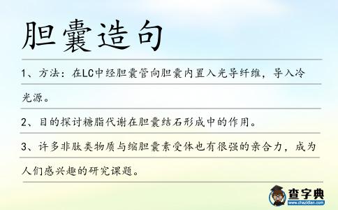 膽囊造句