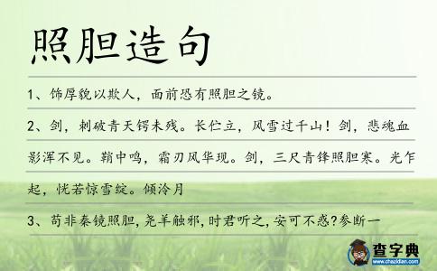 照膽造句