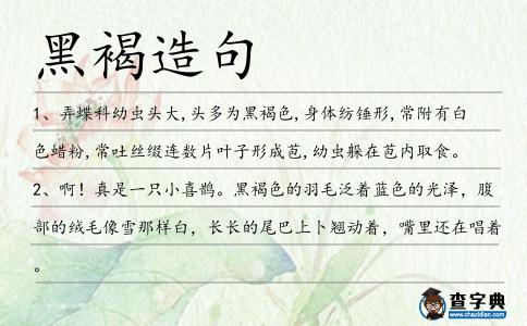 黑褐造句