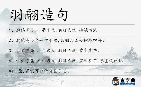 羽翮造句