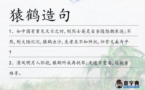 猿鶴造句