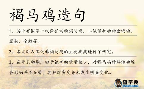 褐馬雞造句