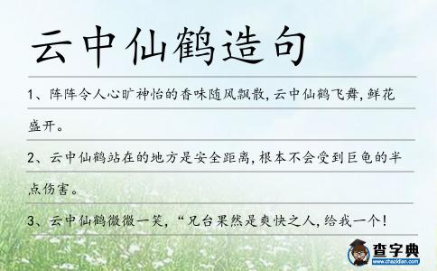 云中仙鶴造句