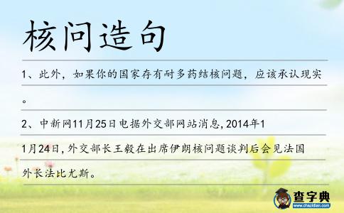 核問(wèn)造句
