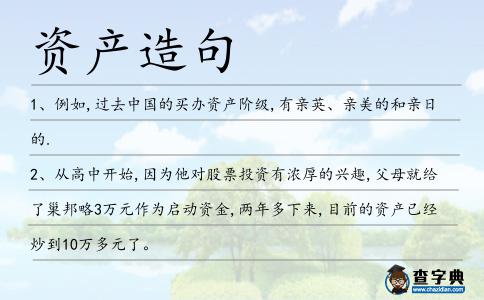 資產(chǎn)造句