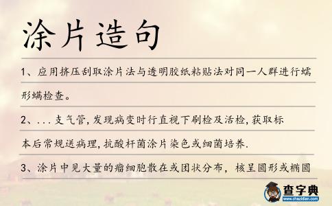 涂片造句