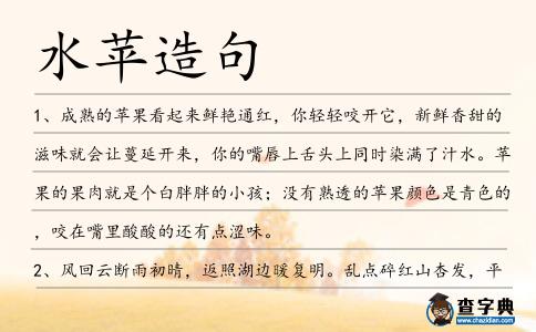 水蘋造句