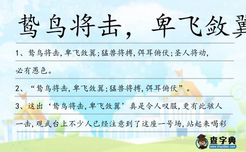 鷙鳥將擊,卑飛斂翼造句