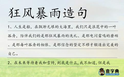 狂風暴雨造句
