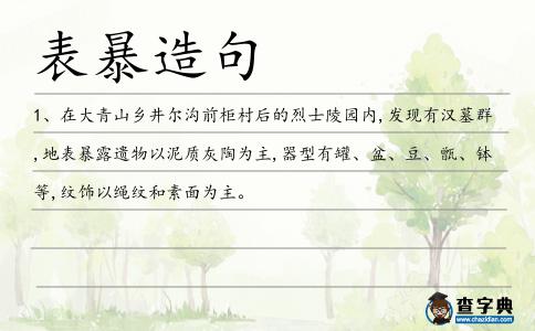 表暴造句