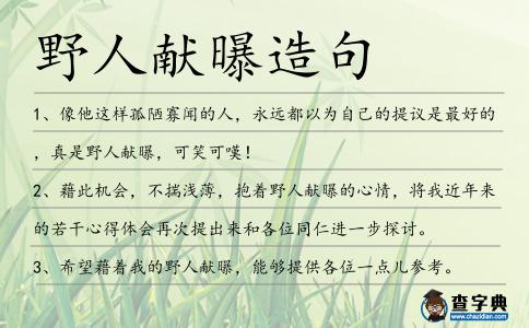 野人獻曝造句