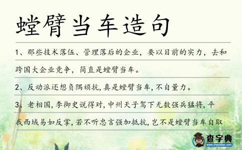 螳臂當車造句