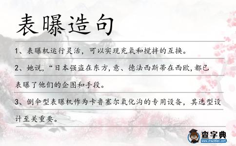 表曝造句