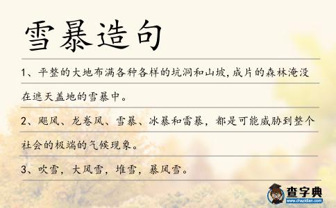 雪暴造句