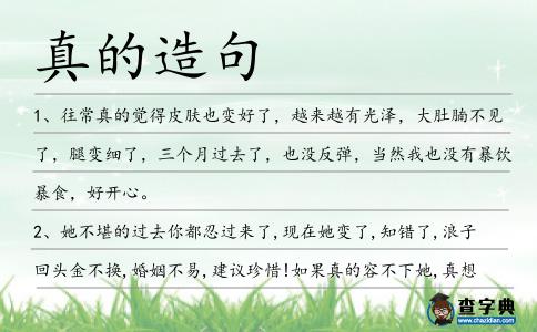 真的造句