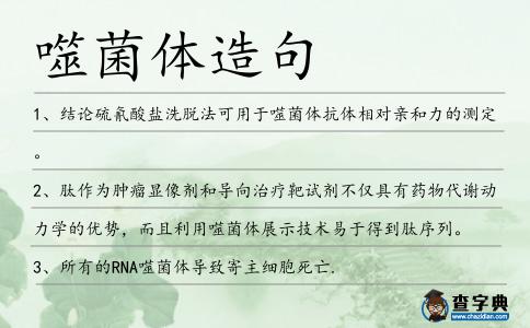 噬菌體造句