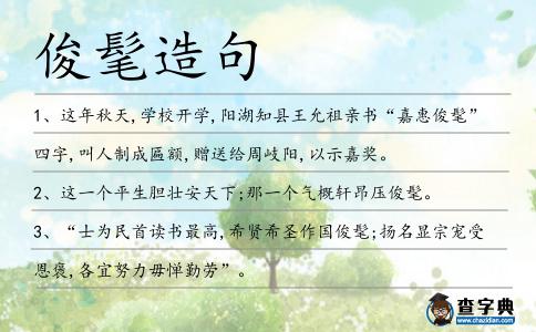 俊髦造句