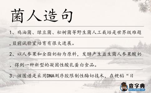 菌人造句