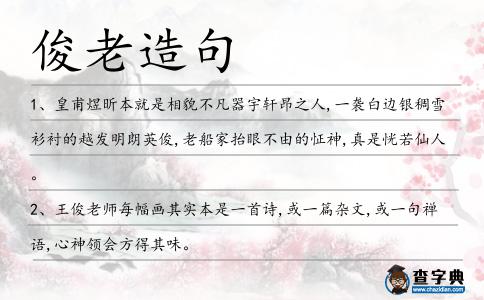 俊老造句
