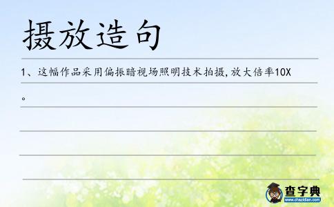 攝放造句