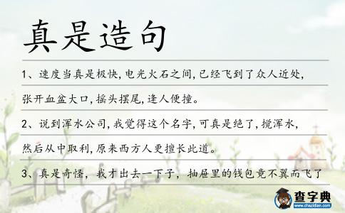 真是造句
