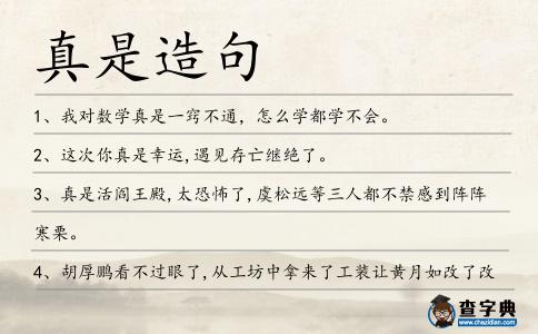 真是造句