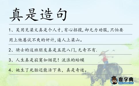 真是造句