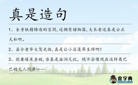 真是造句