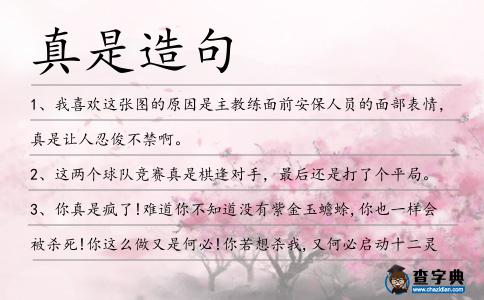 真是造句