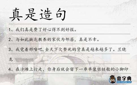真是造句
