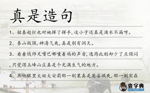 真是造句
