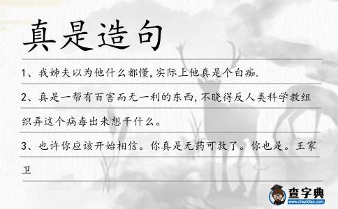 真是造句