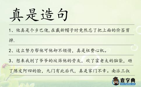 真是造句